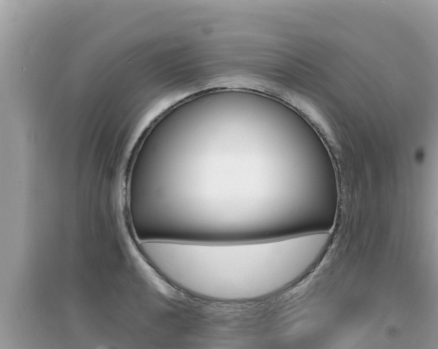 X0000095121040200712070938