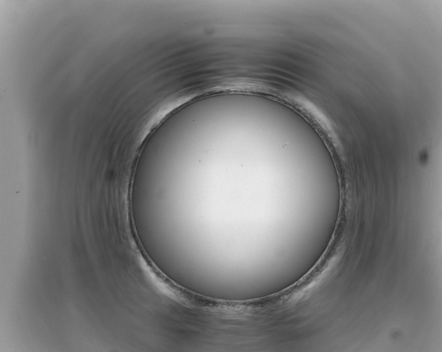 X0000095121041200712070938