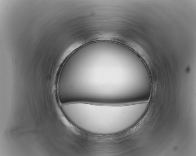 X0000095121042200712070938