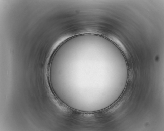X0000095121043200712070938