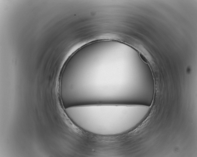X0000095121044200712070938