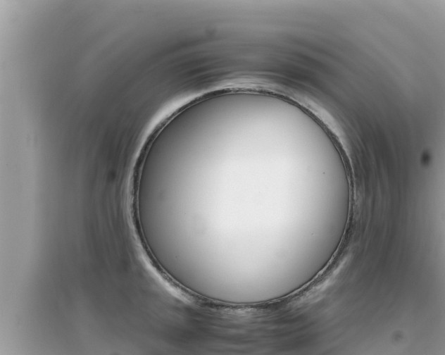X0000095121045200712070938