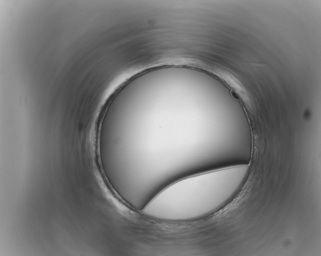 X0000095121046200712070938
