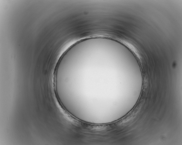 X0000095121047200712070938