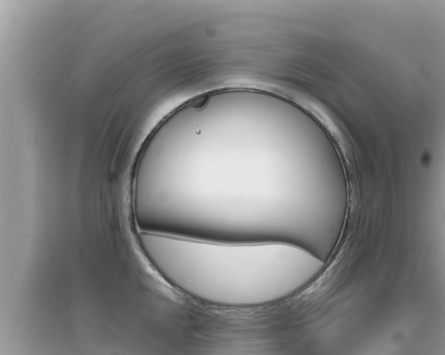 X0000095121048200712070938
