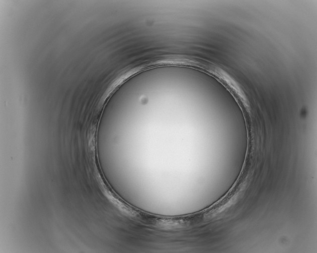 X0000095121049200712070938