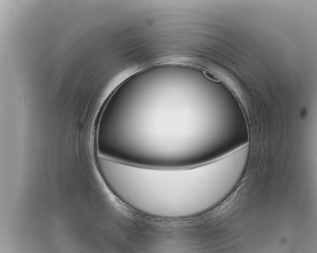 X0000095121050200712070938