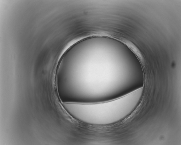 X0000095121052200712070938