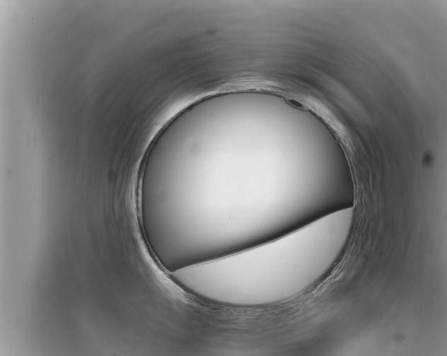 X0000095121055200712070938