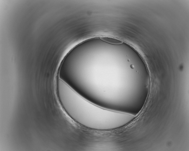 X0000095121056200712070938