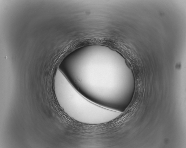 X0000095121057200712070938