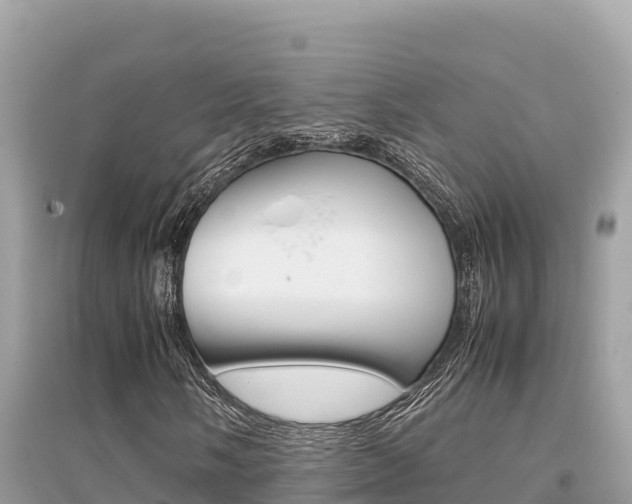 X0000095121058200712070938