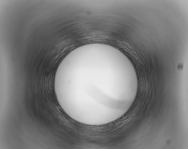 X0000095121060200712070938
