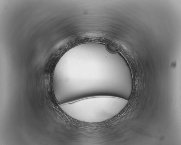 X0000095121062200712070938