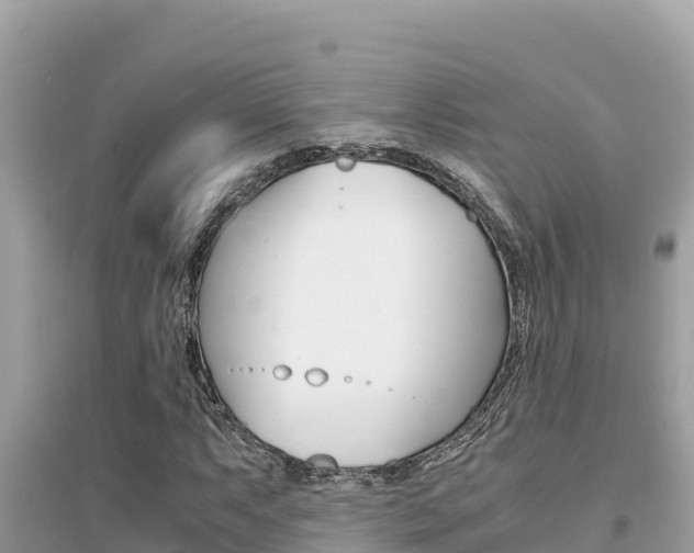 X0000095121063200712070938