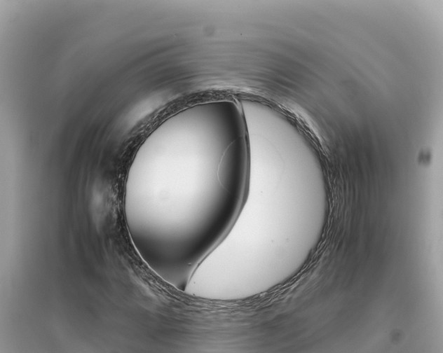 X0000095121064200712070938