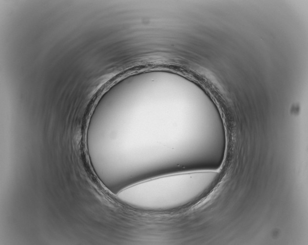 X0000095121065200712070938