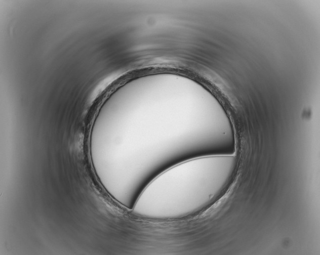 X0000095121066200712070938