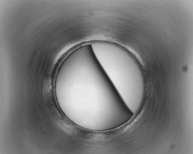 X0000095121070200712070937