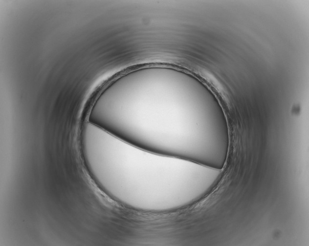 X0000095121072200712070937