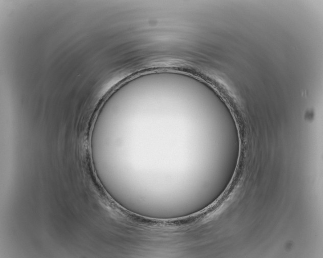 X0000095121073200712070937