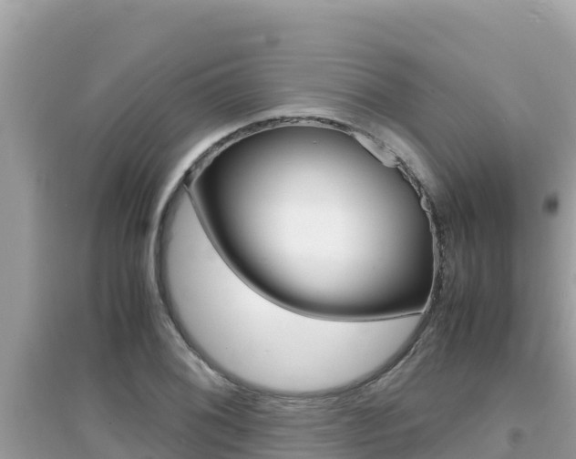 X0000095121076200712070937