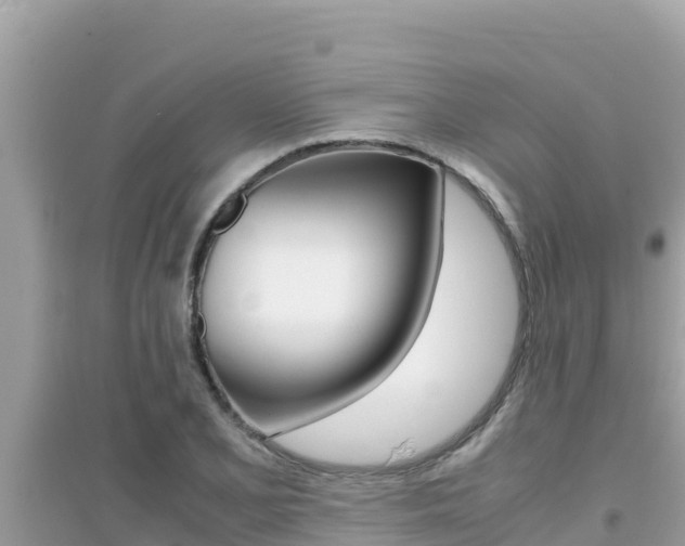 X0000095121077200712070937