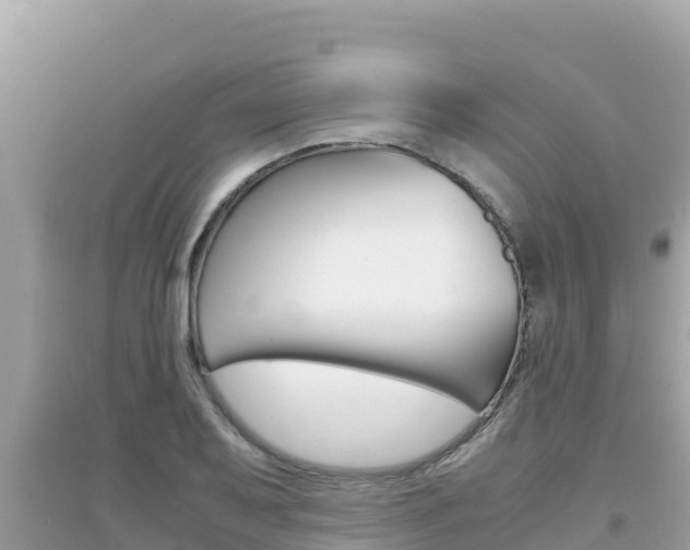X0000095121079200712070937