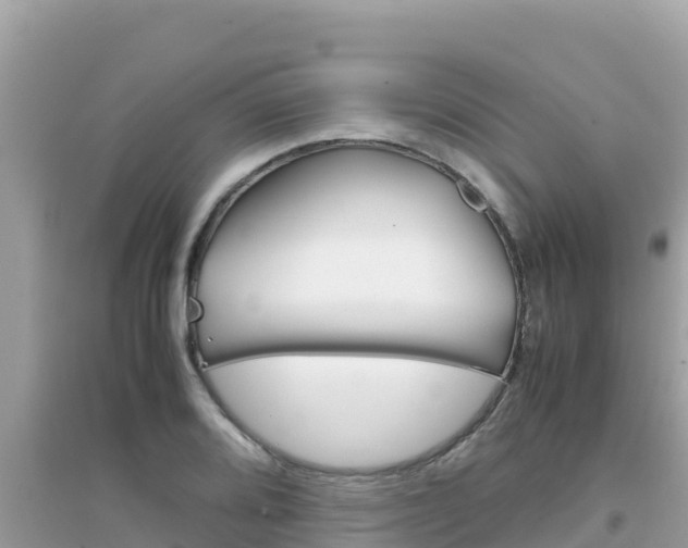 X0000095121080200712070937