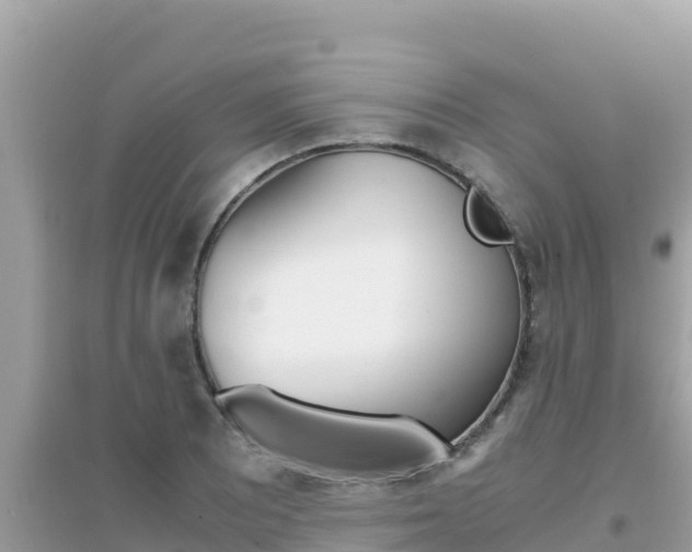 X0000095121081200712070937