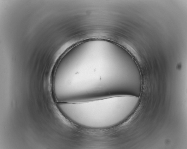 X0000095121082200712070937