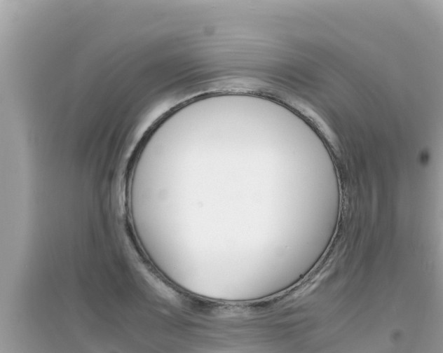 X0000095121083200712070937