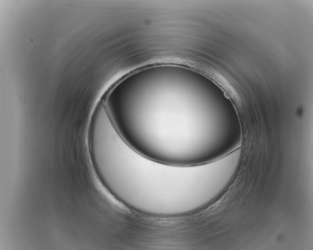 X0000095121084200712070937