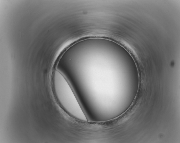 X0000095121085200712070937