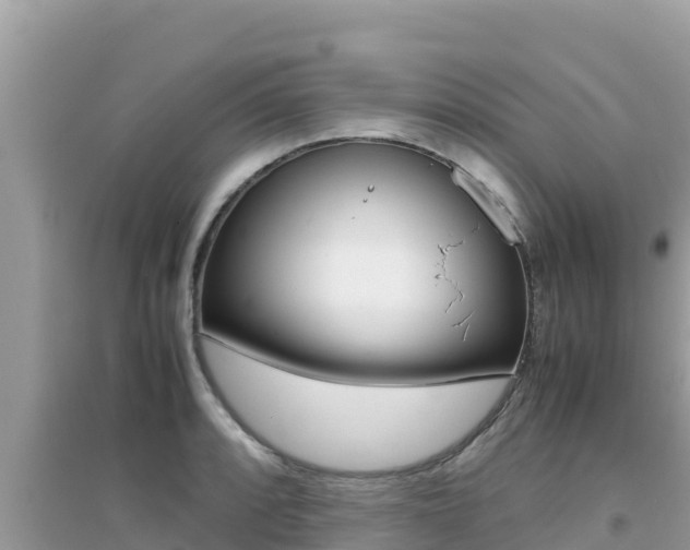 X0000095121088200712070937