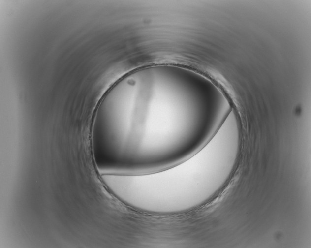 X0000095121089200712070937