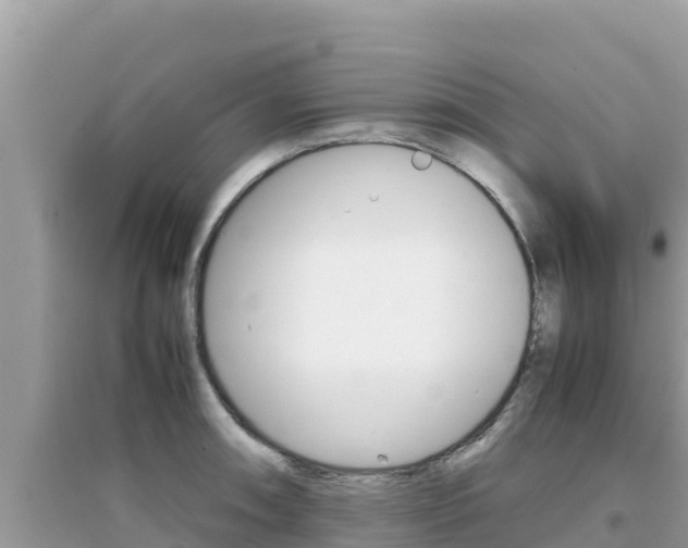 X0000095121090200712070937