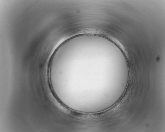X0000095121091200712070937