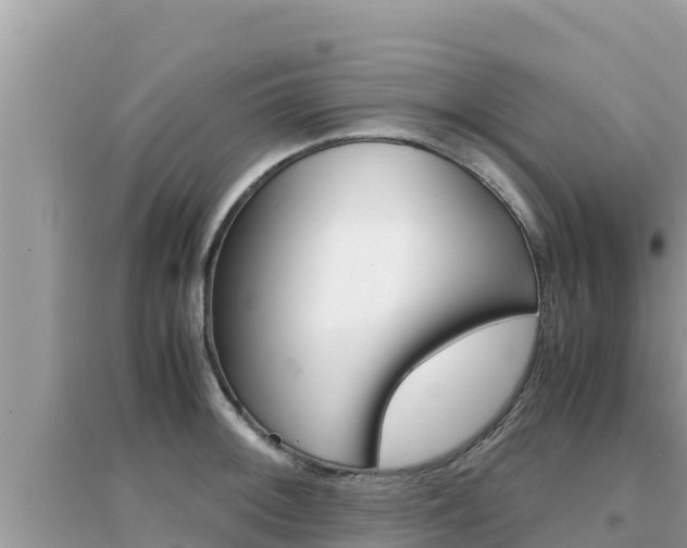 X0000095121092200712070937