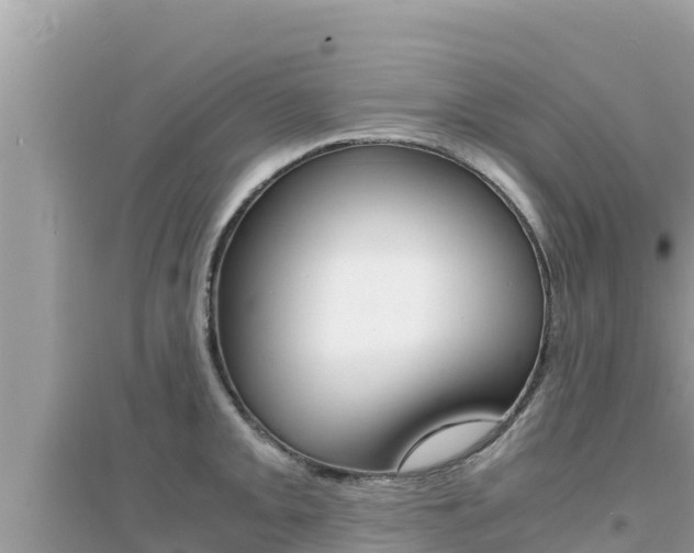 X0000095121093200712070937