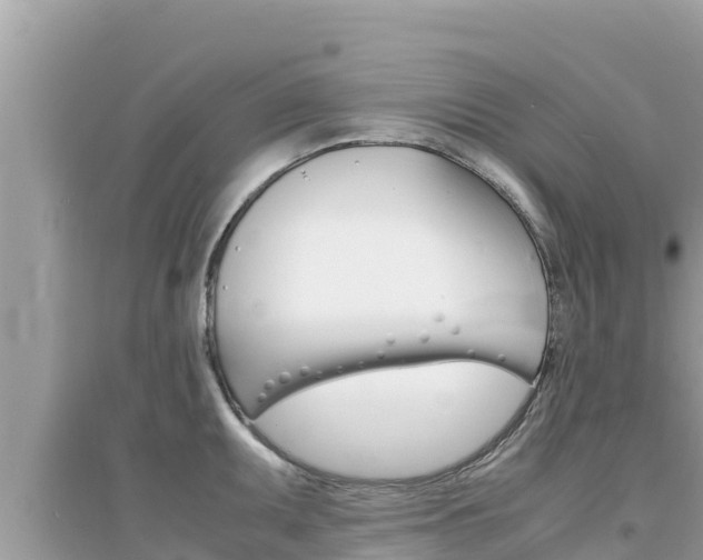 X0000095121095200712070937