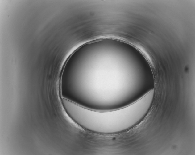 X0000095121100200712070937