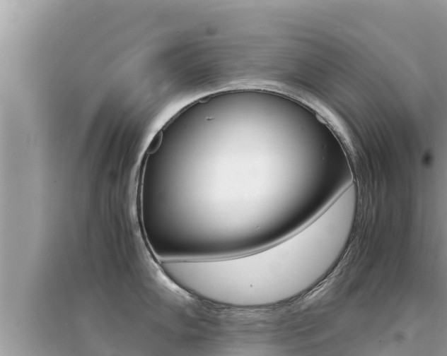 X0000095121102200712070937