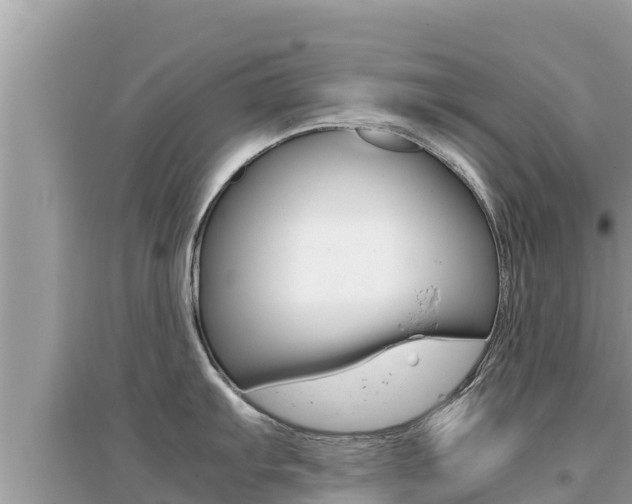X0000095121103200712070937