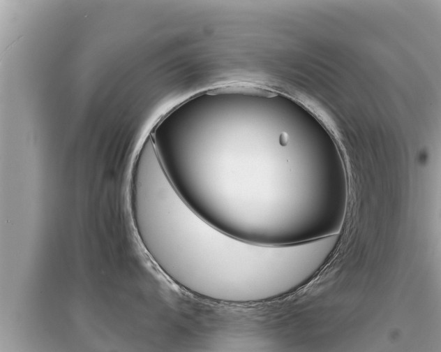 X0000095121104200712070937