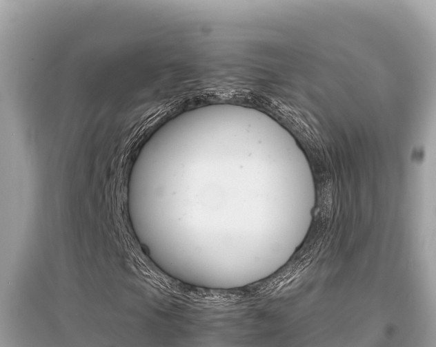 X0000095121105200712070936