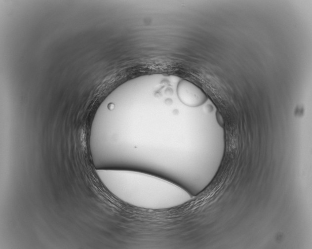 X0000095121106200712070936