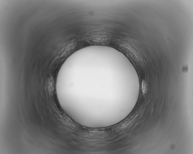 X0000095121107200712070936