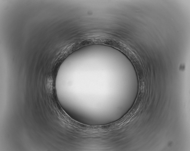 X0000095121108200712070936