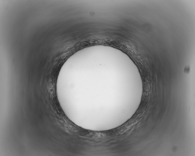 X0000095121109200712070936